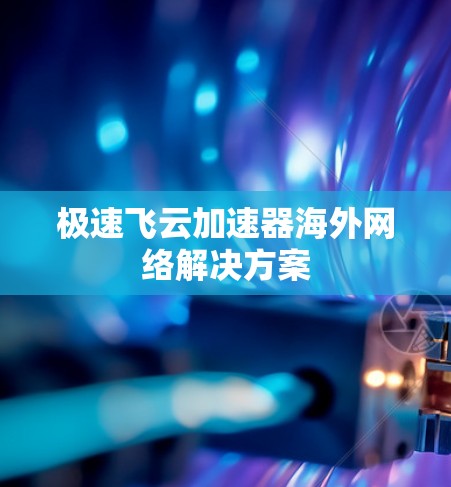 极速飞云加速器海外网络解决方案