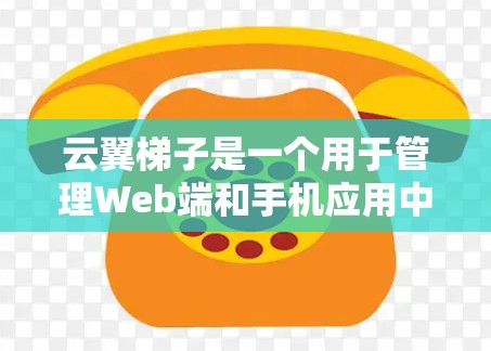 云翼梯子是一个用于管理Web端和手机应用中用户功能的APP。它通过设置头像颜色和形状来调整用户头像，具有以下功能