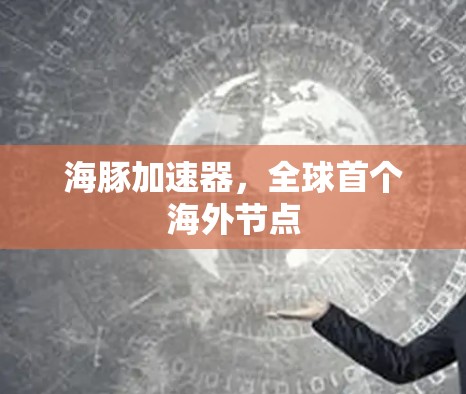 海豚加速器,全球首个海外节点 海豚加速器,全球首个海外节点
