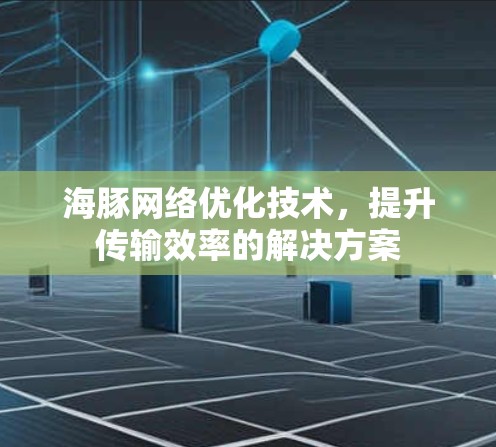 海豚网络优化技术，提升传输效率的解决方案