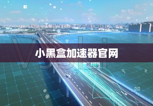小黑盒加速器官网