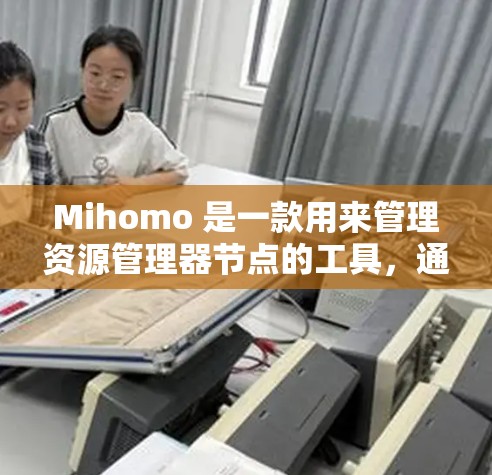 Mihomo 是一款用来管理资源管理器节点的工具,通常用于控制面板或资源管理器中的节点管理。以下是一些关于如何管理 Mihomo 节点的步骤