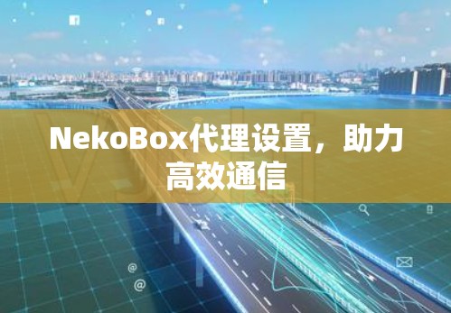 NekoBox代理设置，助力高效通信