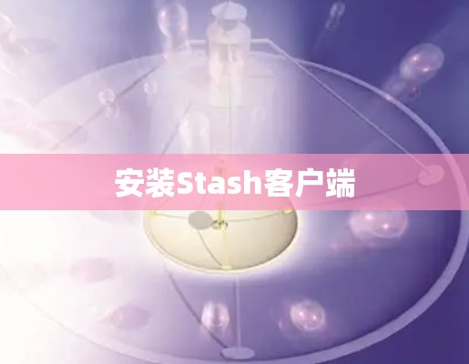 安装Stash客户端 安装Stash客户端