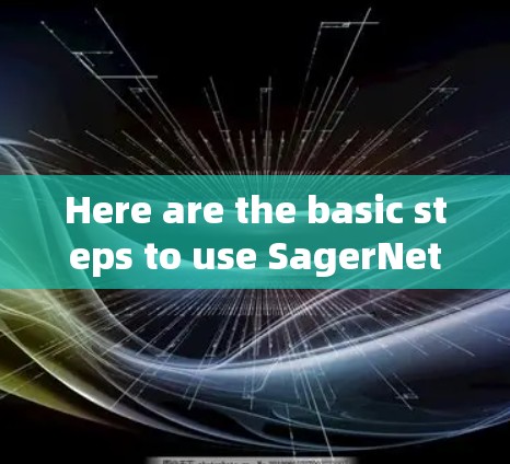 Here are the basic steps to use SagerNet on your Android device: Here are the basic steps to use SagerNet on your Android device: