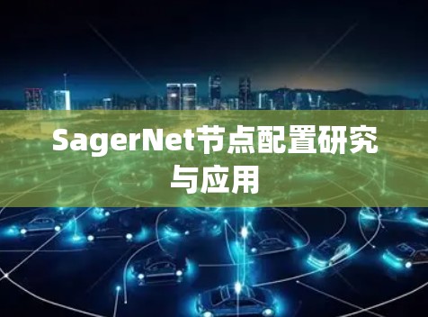 SagerNet节点配置研究与应用 SagerNet节点配置研究与应用