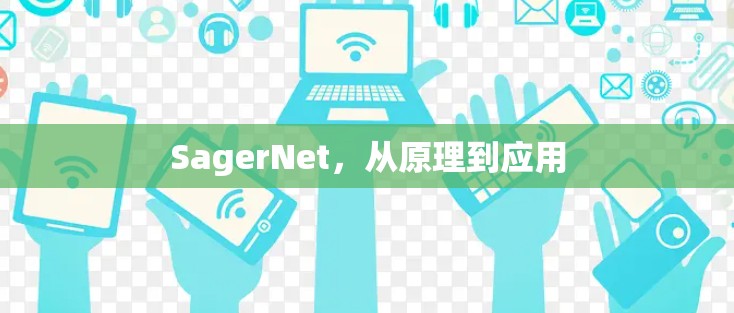 SagerNet，从原理到应用