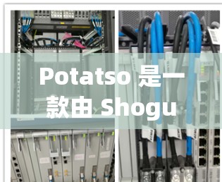 Potatso 是一款由 Shogun Soft 开发的射击游戏，如果你对 Potatso 感兴趣，以下是一个基本的使用教程