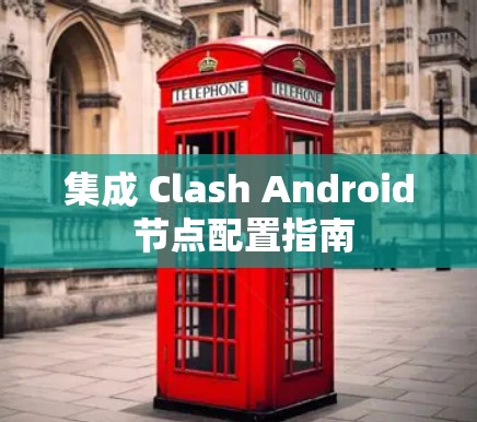 集成 Clash Android 节点配置指南