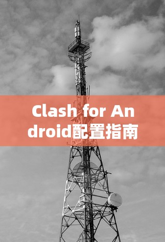 Clash for Android配置指南 Clash for Android配置指南