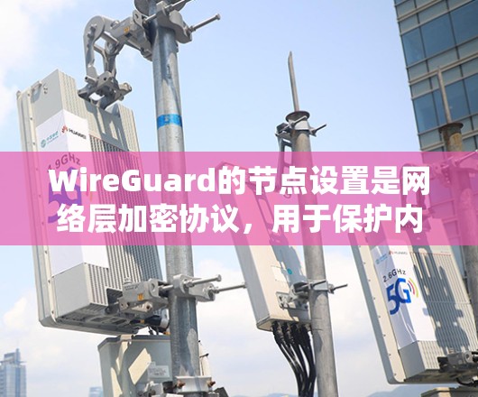 WireGuard的节点设置是网络层加密协议，用于保护内网和外网的安全。以下是详细的步骤指南，帮助您理解和配置WireGuard节点