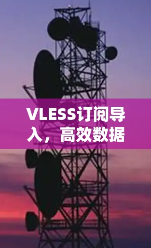 VLESS订阅导入,高效数据传输的解决方案