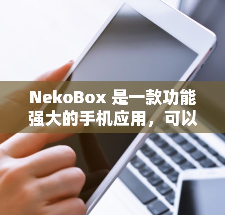 NekoBox 是一款功能强大的手机应用,可以帮助你高效使用手机。以下是对 NekoBox 使用指南的详细说明