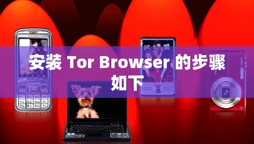 安装 Tor Browser 的步骤如下 安装 Tor Browser 的步骤如下