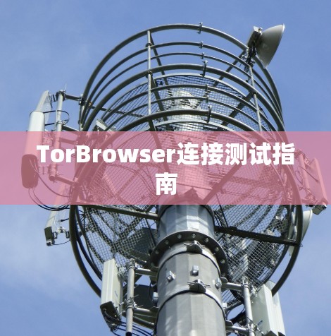 TorBrowser连接测试指南