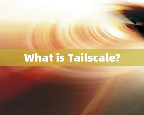 What is Tailscale?