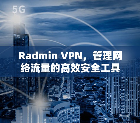 Radmin VPN，管理网络流量的高效安全工具