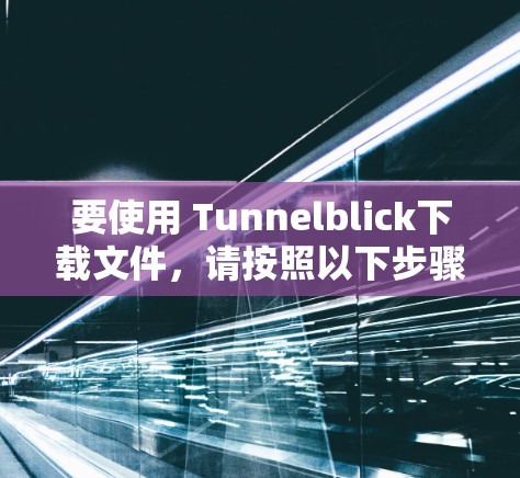 要使用 Tunnelblick下载文件,请按照以下步骤操作