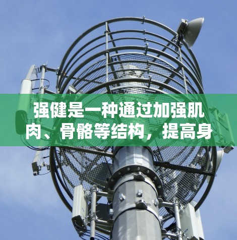 强健是一种通过加强肌肉、骨骼等结构，提高身体稳定性的方法，旨在预防或减轻运动损伤。以下是学习强健的安装方法，结合了主要的强健训练策略