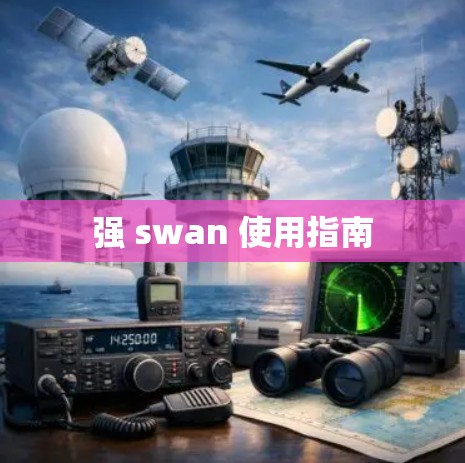 强 swan 使用指南