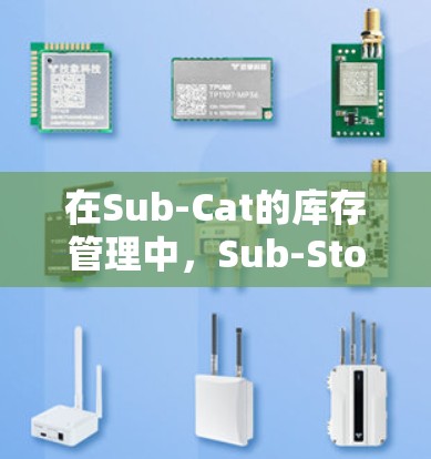 在Sub-Cat的库存管理中，Sub-Store是特定的库存区域，用于管理特定的库存种类和商品。以下是设置Sub-Store规则时的关键步骤和内容