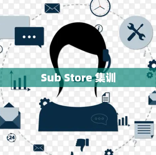 Sub Store 集训