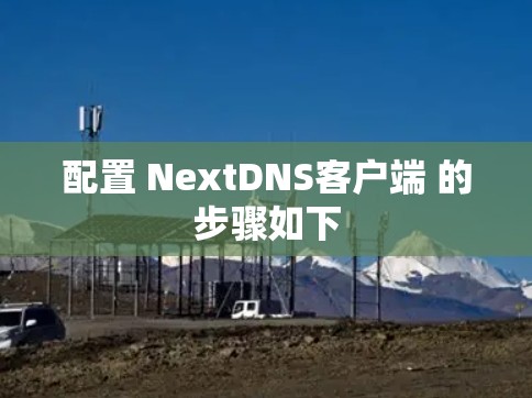配置 NextDNS客户端 的步骤如下