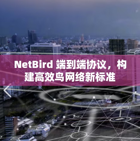 NetBird 端到端协议，构建高效鸟网络新标准