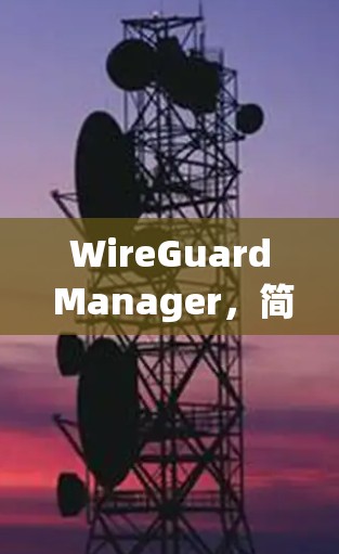 WireGuard Manager,简化网络安全管理的全新解决方案