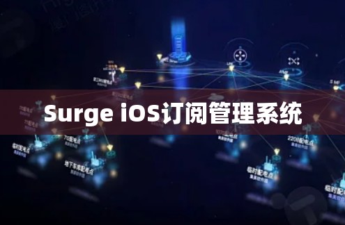 Surge iOS订阅管理系统