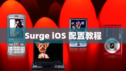 Surge iOS 配置教程