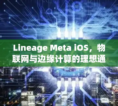 Lineage Meta iOS,物联网与边缘计算的理想通信解决方案