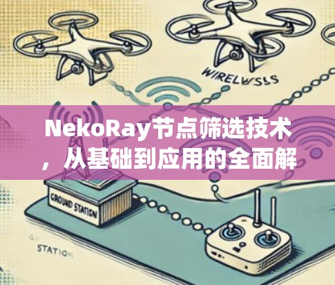 NekoRay节点筛选技术，从基础到应用的全面解析