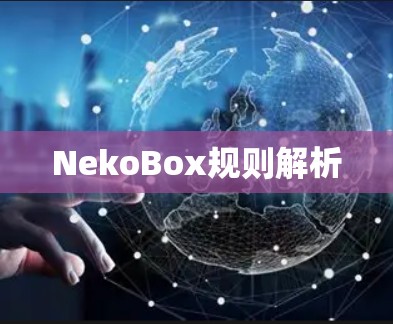 NekoBox规则解析