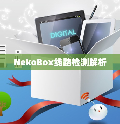 NekoBox线路检测解析