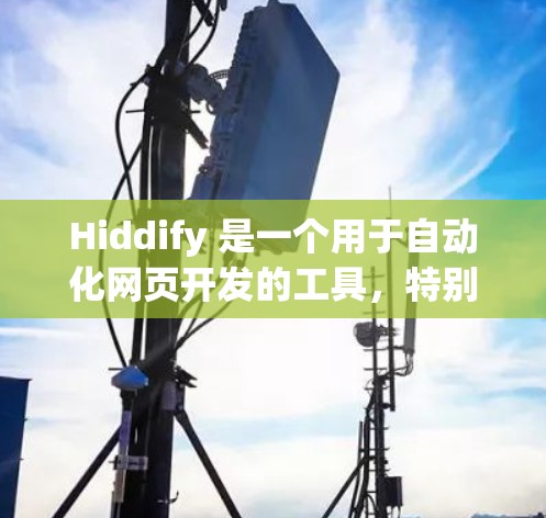 Hiddify 是一个用于自动化网页开发的工具，特别适合需要生成多个页面或重复格式化的任务。以下是关于其规则设置的详细信息