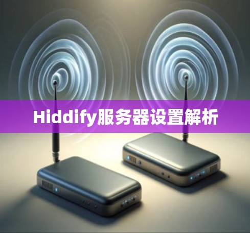 Hiddify服务器设置解析