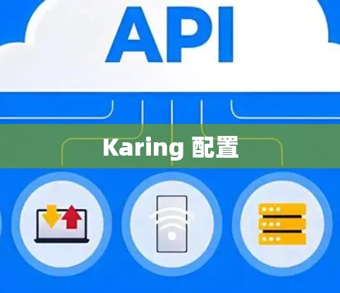 Karing 配置