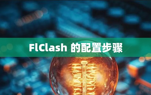 FlClash 的配置步骤