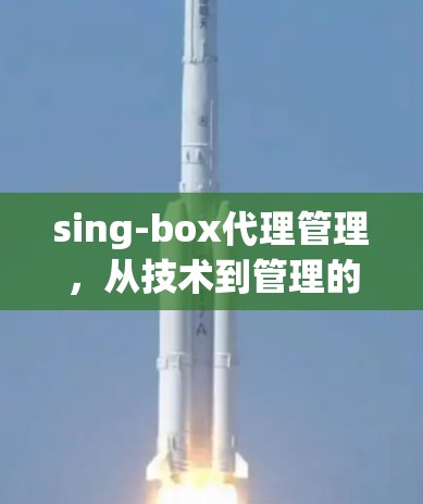 sing-box代理管理，从技术到管理的全场景解决方案