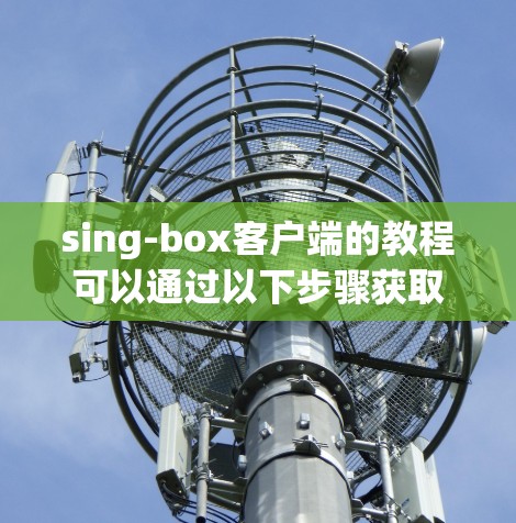sing-box客户端的教程可以通过以下步骤获取