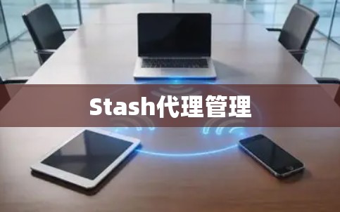 Stash代理管理