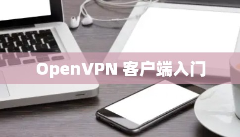 OpenVPN 客户端入门