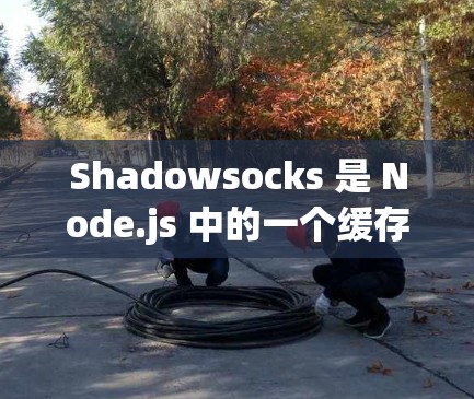 Shadowsocks 是 Node.js 中的一个缓存机制,用于缓存网络请求。它通过将请求解析为树结构来缓存结果,从而避免重复请求导致的性能问题