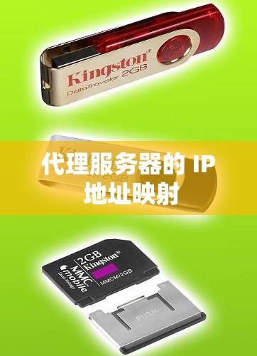 代理服务器的 IP 地址映射