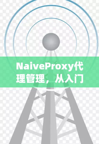 NaiveProxy代理管理,从入门到优化