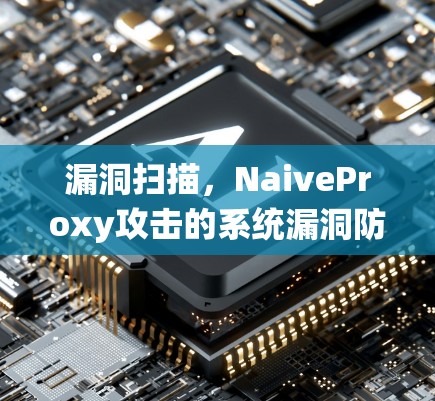漏洞扫描,NaiveProxy攻击的系统漏洞防御