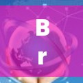 Brook规则（Brooks Rule）是一个旨在确保选举过程的公正、公平和透明的指南，涵盖了选举中的多个关键方面。以下是Brook规则的主要内容