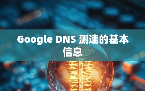 Google DNS 测速的基本信息