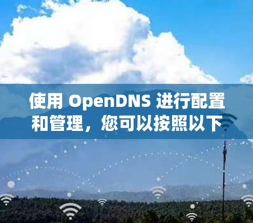使用 OpenDNS 进行配置和管理,您可以按照以下步骤进行